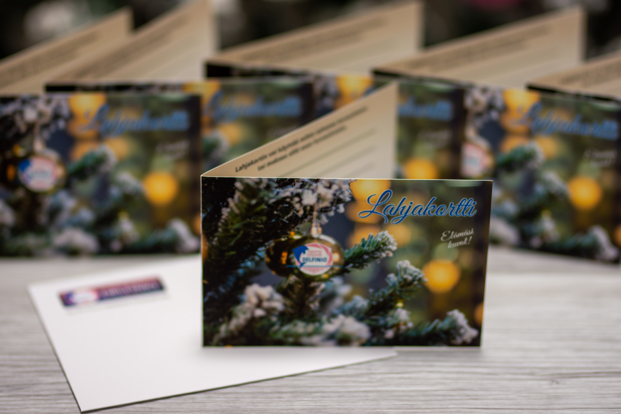 Useita joululahjakortteja valokuvaukseen, pystyasennossa, konvertti logolla – Photo Studio Delfinio, valokuvaaja Salo.