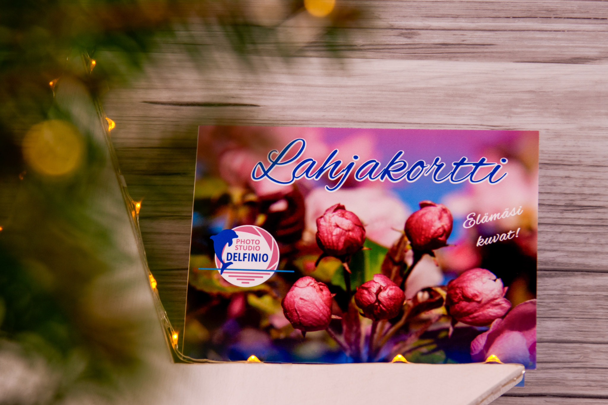 Klassinen lahjakortti valokuvaukseen valkoisella taustalla, pieni joulukuusi vieressä – Photo Studio Delfinio, valokuvaaja Salo.