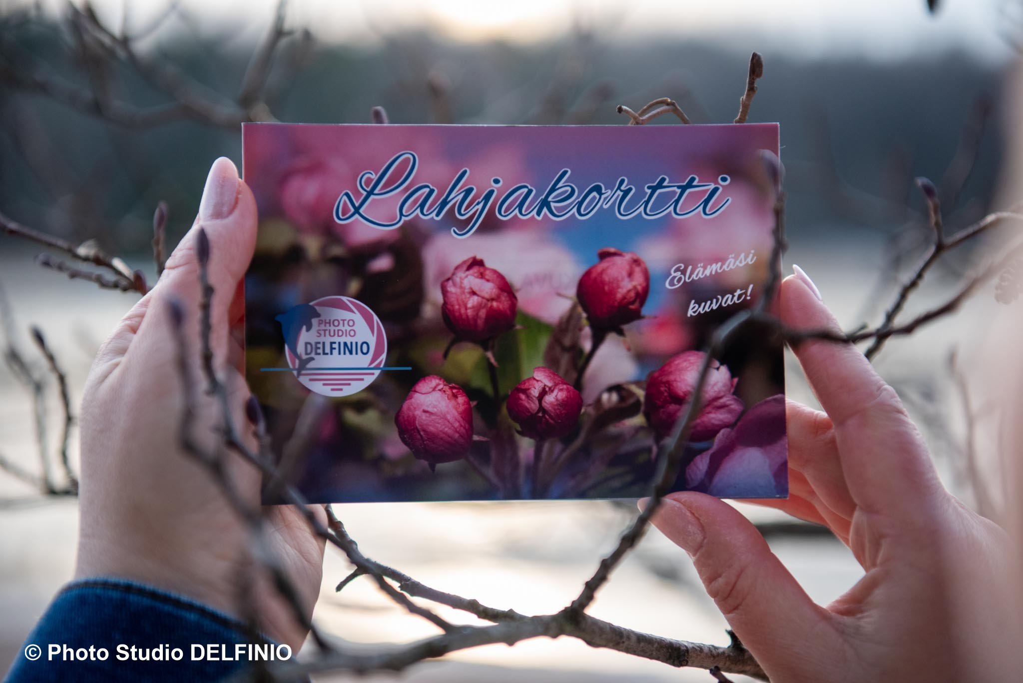 Lahjakortin esittely valokuvaukseen perhevalokuvaaja Salosta – täydellinen lahja tapahtumiin ja unohtumattomiin hetkiin.