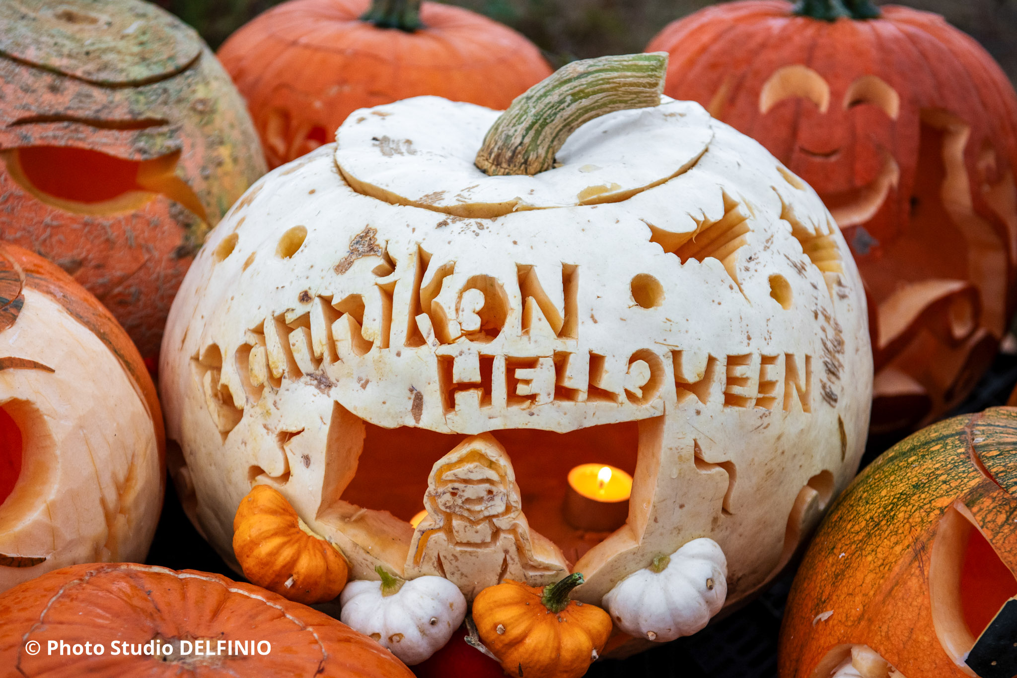 Kurpitsa, jossa on kaiverrettuna teksti “Rannikon Halloween”, kuvattuna Kurpitsaviikkojen aikaan Salossa. Syksyinen yksityiskohta, joka sopii täydellisesti lasten- ja perhekuvauksiin.